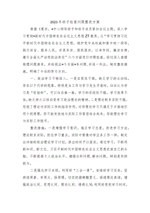 2023年班子检查问题整改方案.docx