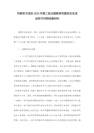 市委班子成员2023年第二批主题教育专题民主生活会班子对照检查材料.docx