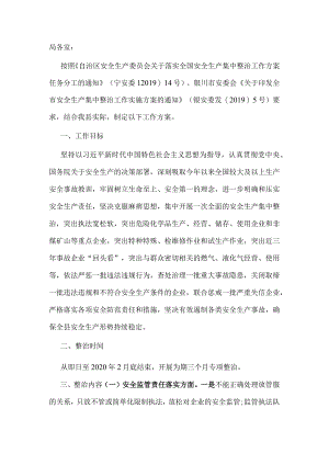 县应急管理局安全生产集中整治工作方案.docx