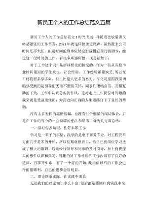 新员工个人的工作总结范文五篇.docx