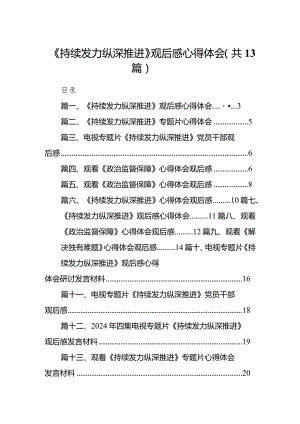 2024《持续发力纵深推进》观后感心得体会（共13篇）汇编.docx