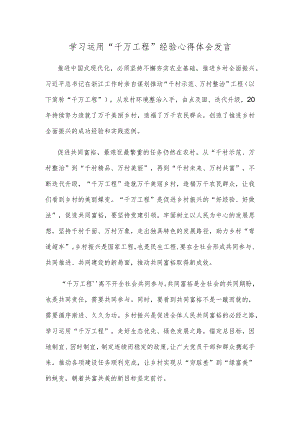 学习运用“千万工程”经验心得体会发言.docx