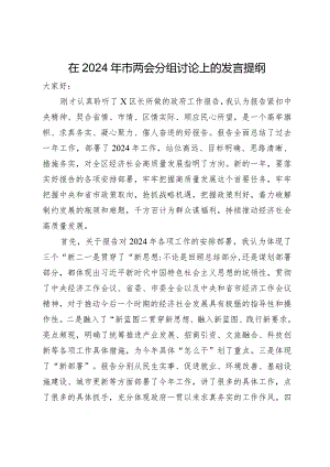 在2024年市两会分组讨论上的发言提纲.docx