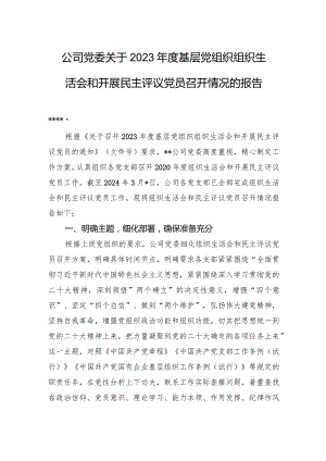公司党委关于2023年度基层党组织组织生活会和开展民主评议党员召开情况的报告.docx