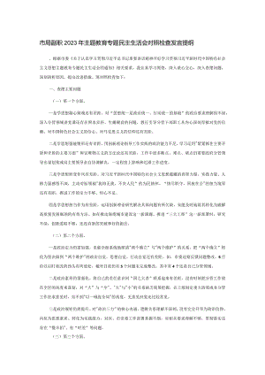 市局副职2023年主题教育专题民主生活会对照检查发言提纲.docx