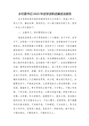 乡镇纪委书记2023年述学述职述廉述法报告.docx