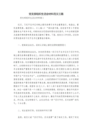 党支部组织生活会材料范文三篇.docx