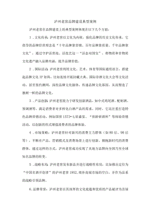 泸州老窖品牌建设典型案例.docx