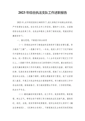 2023年综合执法支队工作述职报告.docx