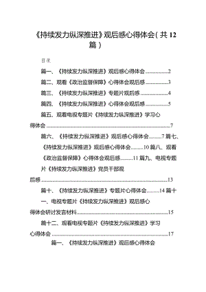 (12篇)《持续发力纵深推进》观后感心得体会.docx