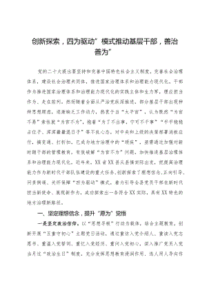 创新探索“四为驱动”模式推动基层干部“善治善为”的调研与思考.docx