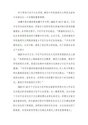努力建设中华民族现代文明学习贯彻文化思想宣讲稿.docx