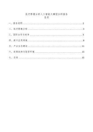 医疗影像分析人工智能大模型分析报告.docx