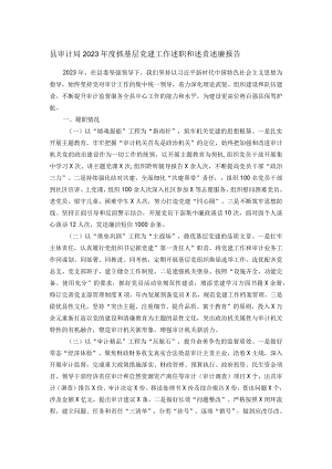 县审计局2023年度抓基层党建工作述职和述责述廉报告.docx
