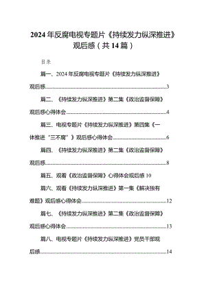 2024年反腐电视专题片《持续发力纵深推进》观后感14篇（详细版）.docx