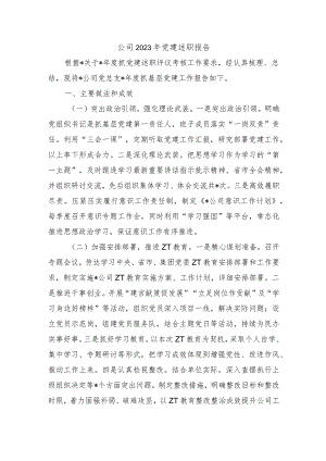 公司2023年党建述职报告.docx