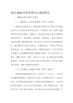 国企2023年度党委书记述职报告.docx