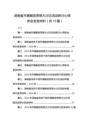 2024湖南省开展解放思想大讨论活动研讨心得体会发言材料13篇（最新版）.docx