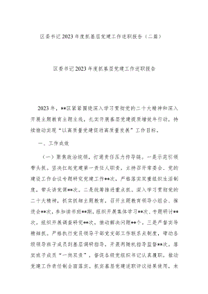 区委书记2023年度抓基层党建工作述职报告(二篇).docx