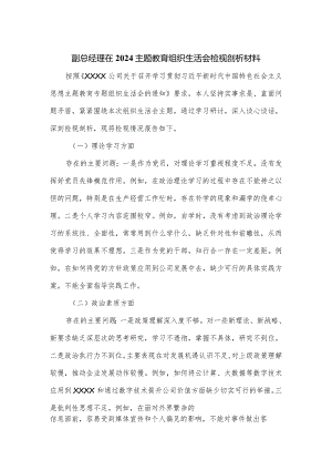 副总经理在2024主题教育组织生活会检视剖析材料.docx