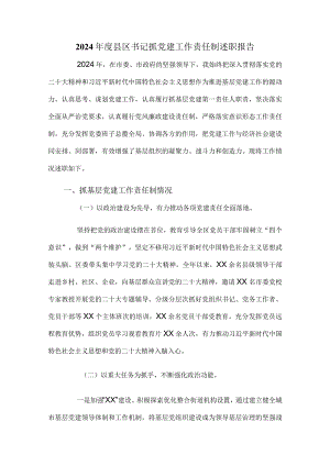 2024年度县区书记抓党建工作责任制述职报告.docx