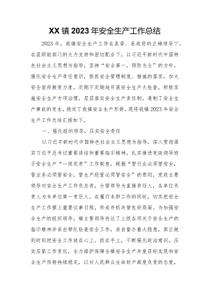 XX镇2023年安全生产工作总结.docx