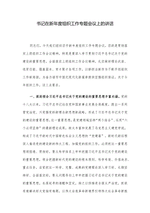 书记在新年度组织工作专题会议上的讲话.docx