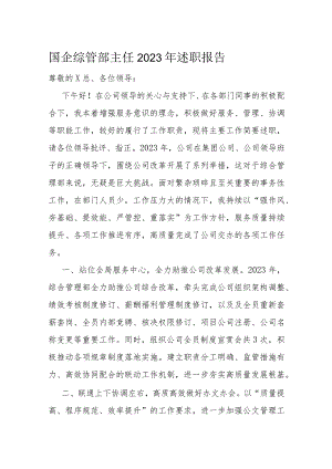 国企综管部主任2023年述职报告.docx