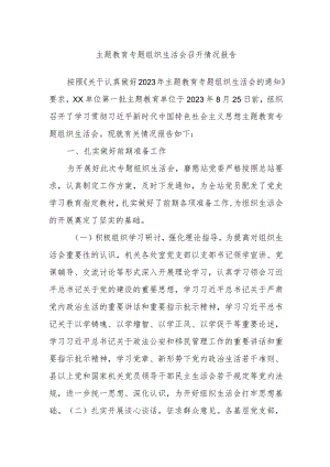 主题教育专题组织生活会召开情况报告.docx