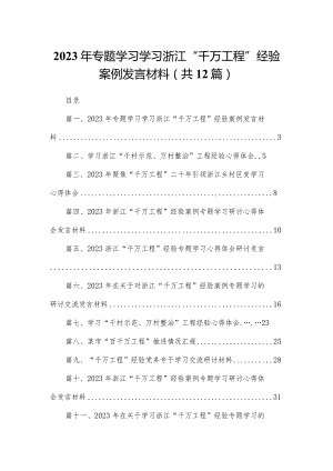 2023年专题学习学习浙江“千万工程”经验案例发言材料（共12篇）.docx