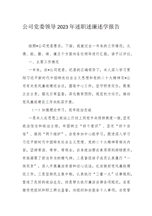 公司党委领导2023年述职述廉述学报告.docx