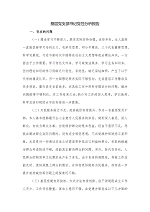 基层党支部书记党性分析报告.docx