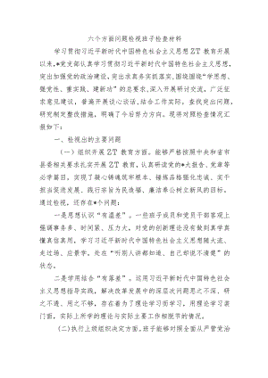 六个方面问题检视班子检查材料.docx