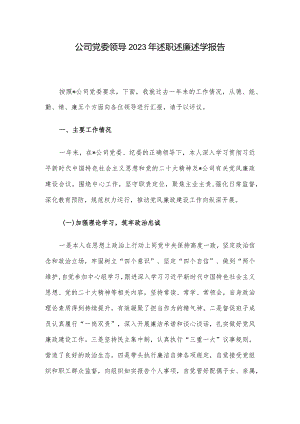 公司党委领导2023年述职述廉述学报告.docx