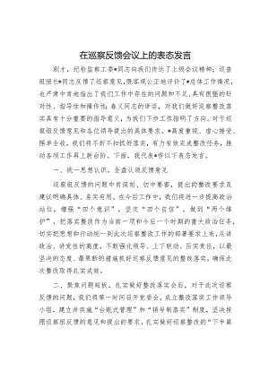 在巡察反馈会议上的表态发言.docx