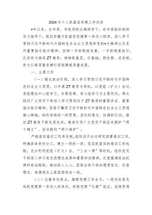 2024年个人抓基层党建工作总结.docx