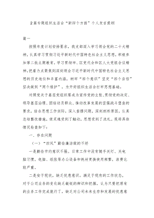 2篇专题组织生活会“新四个方面”个人发言提纲.docx