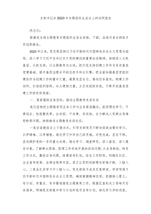 2024年支部书记在专题组织生活会上的述职报告.docx