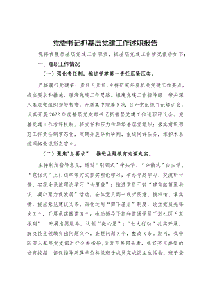党委书记2023年抓基层党建工作述职报告 .docx