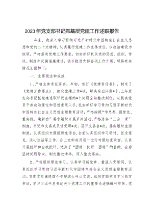 2023年党支部书记抓基层党建工作述职报告.docx