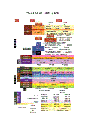 2024抗生素的分类、抗菌谱、作用机制.docx