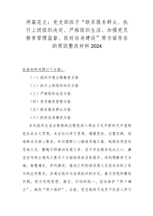 两篇范文：党支部班子“联系服务群众、执行上级组织决定、严格组织生活、加强党员教育管理监督、抓好自身建设”等方面存在的原因整改材料2024.docx