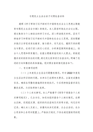 专题民主生活会班子对照检查材料.docx