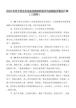 2024年关于民主生活会自我剖析批评与自我批评意见汇编（二百例）.docx