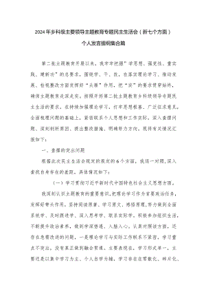 2024年乡科级主要领导主题教育专题民主生活会（新七个方面）个人发言提纲集合篇.docx