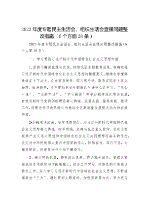 2023年度专题民主生活会、组织生活会查摆问题整改措施（6个方面28条）.docx