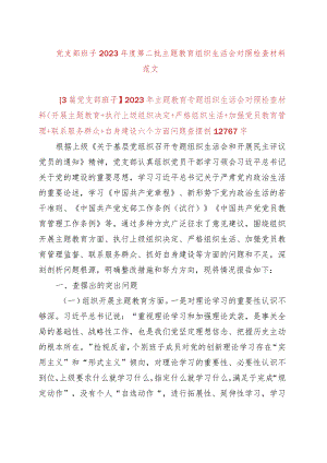 【3篇党支部班子】2023年主题教育专题组织生活会对照检查材料（开展主题教育+执行上级组织决定+严格组织生活+加强党员教育管理+联系服务群.docx