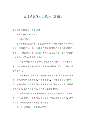 会计信息化实训总结（3篇）.docx
