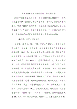 乡镇2023年度抓基层党建工作述职报告.docx