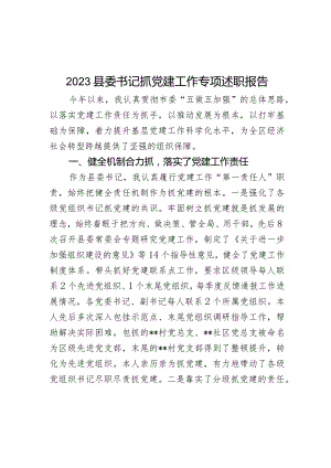2023县委书记抓党建工作专项述职报告范文.docx